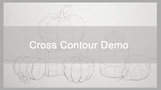 Cross Contour Drawing Demo