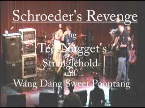 Schroeder's Revenge playing Ted Nugent medley