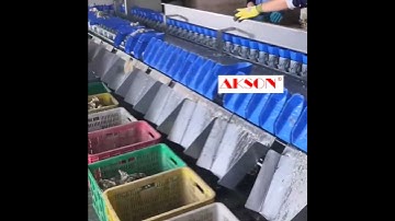 Oyster Weight Sorting Machine