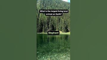 Quiz time! #facts #quiz #quiztime #trivia #answer #question #quizchallenge #shorts