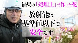 現地取材2 福島の「処理土」で作ったお花。放射能は基準値以下で安全です｜上念司チャンネル ニュースの虎側