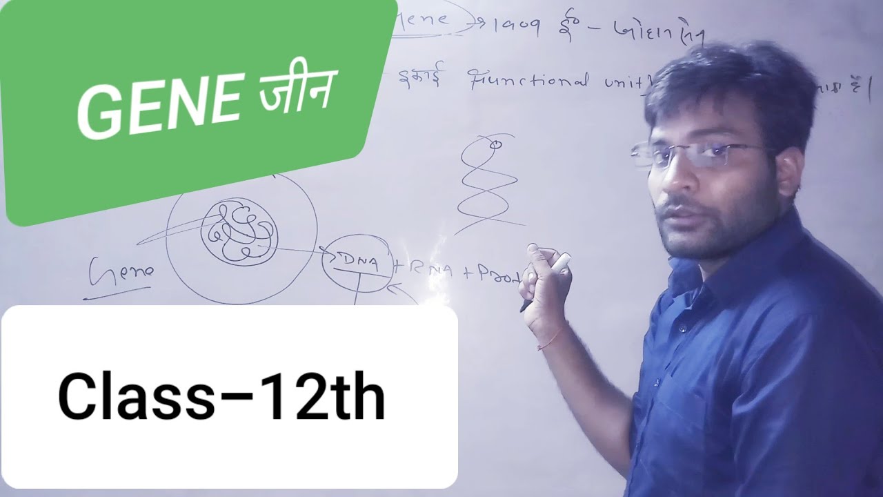 Gene(जीन) Function of gene (जीन के कार्य) Jumping gene or Transposons