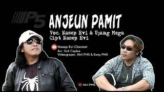 ANJEUN PAMIT .. NASEP EVI X UJANG MEGA