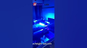 UV LED curing lamps for silk screen - system demo