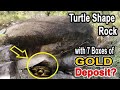 Turtle Shape Rock with 7 Boxes of Gold Deposit?
