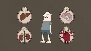 What causes insomnia   Dan Kwartler