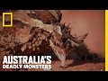 Australia's Top 3 Desert Monsters | Australia's Deadly Monsters