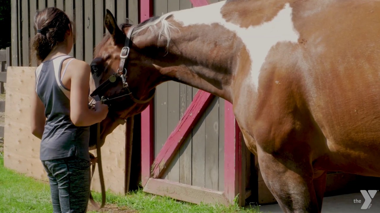 Horse Camp At The Bayside YMCA Barrington RI YouTube horse-camp-at-the-bayside-ymca-barrington-ri-youtube