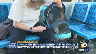 Woman with service cat says she was 'hassled' over pet stroller