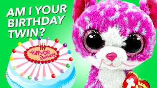 Beanie Boo Birthday APRIL All In One 🎂🎉🥳