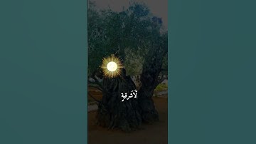 تلاوه خاشعه