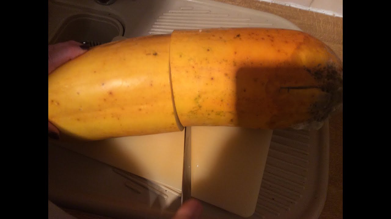 Giant Veg: How to save Giant Cucumber Seed