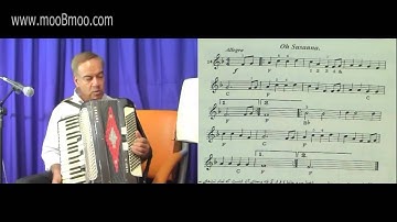 mooBmoo com Accordion E011