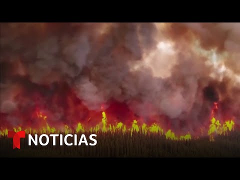 Video: ¿Qué países tienen incendios forestales?