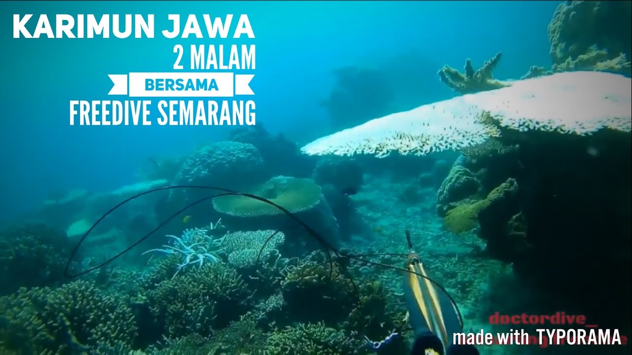 Harga Paket Agen Tour Murah Di Bali Liburan Ke Bali