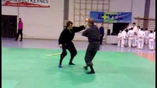 Bujinkan Ninjutsu Italy