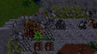 DBworld BOH Quest