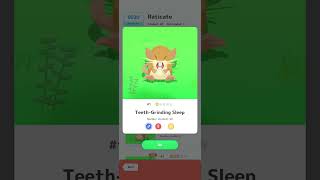 raticate: teeth-grinding sleep #pokesleep #pokemon #pokemonsleep #raticate