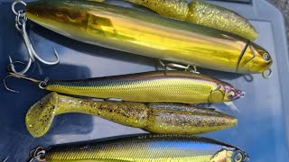 Cette couleur de leurre est magique // Les nouveaux sondeurs vont-ils changer la pêche ?