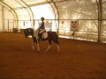 Sandy smyth equine affaire dressage clinic 2010