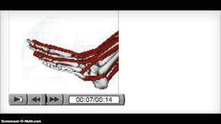 Nonaxial Joints
