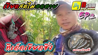 เขียดสดไม่อดตาย เขียดซิ่ง By ครูนพ EP.2