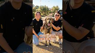 好適合好適合溫大喔！！！❤️❤️❤️ #浪溫大