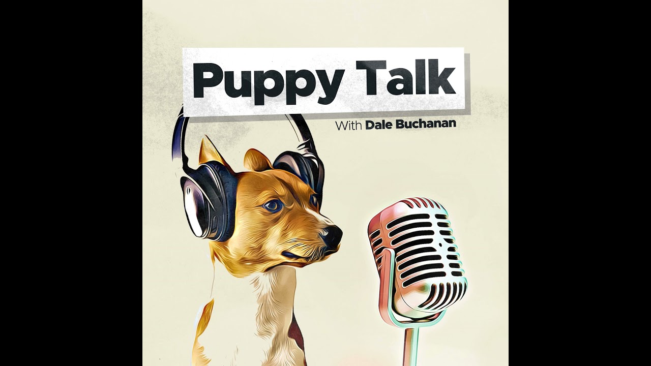Are You Stressing Out Your Puppy Without Realizing It?