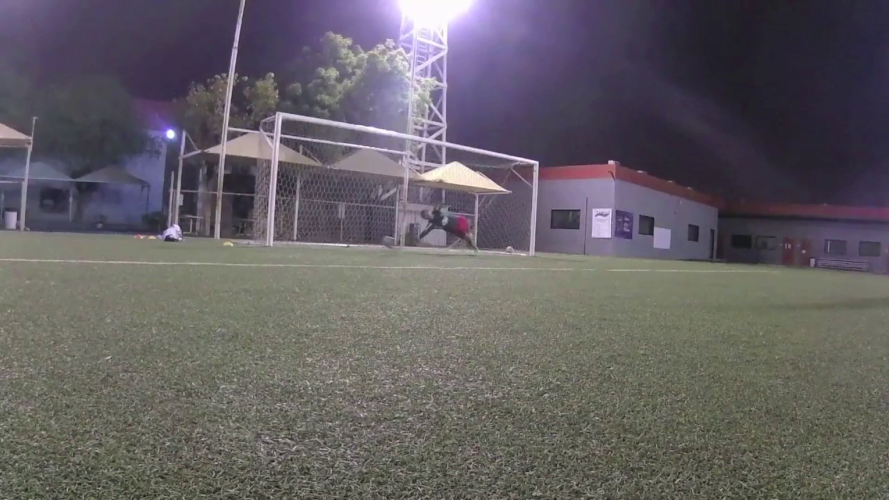 Goalkeeper Reaction Time Training YouTube