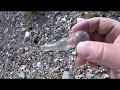 ビーチコーミング♯1 浮き球を求めてお宝が!