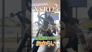 【大盤振る舞い】XSR125の社長厳選カスタムが豪華すぎて大横転 #yamaha #automobile #ysp豊川 #xsr125