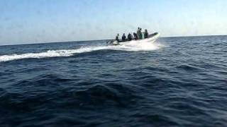 Zodiac Rib - Boat diving