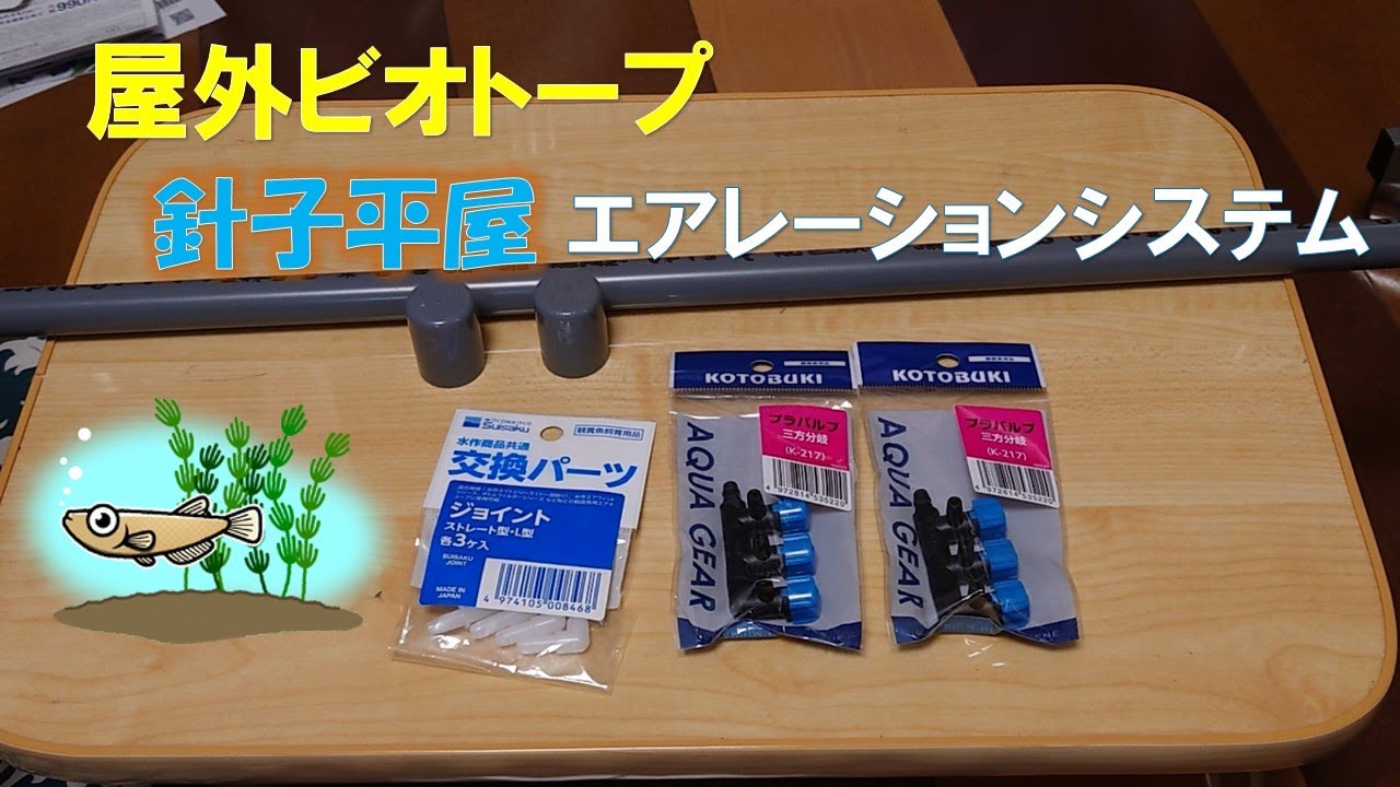 メダカ 屋外ビオトープ 針子平屋エアレーションシステム メダカ 針子飼育 エアレーション Youtube