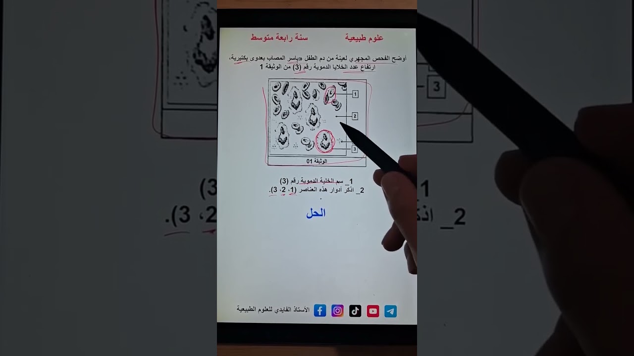 تمرين عن مكونات الدم #bem2025 #اكسبلور #بيام_2025