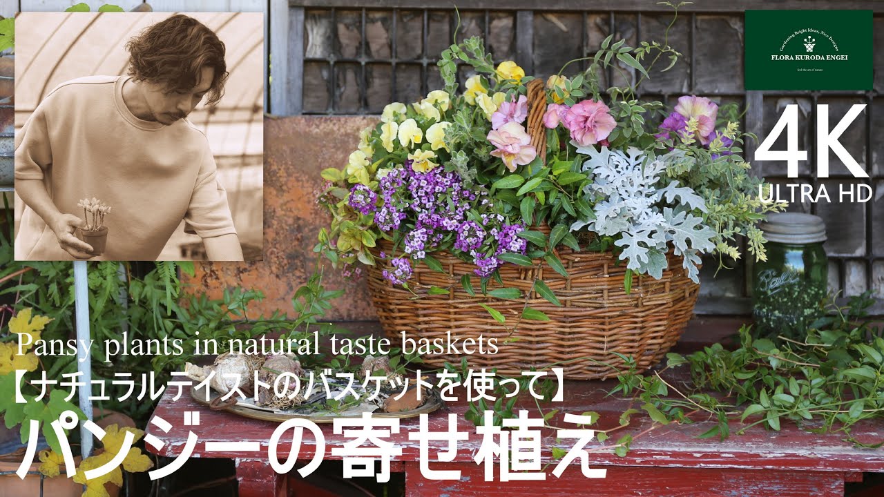 パンジー／ナチュラルテイストのバスケット寄せ植え【冬のガーデニング