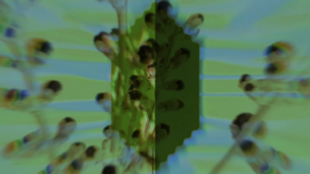 Guarda My Epic - Phantom Limb (Official Visualizer) su YouTube Guarda My Epic - Phantom Limb (Official Visualizer) su YouTube