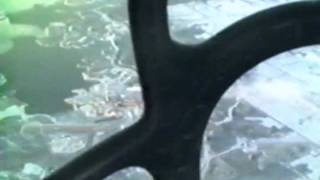 B 29 Its Hawg Wild Documentary