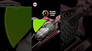 Biomechanical Analysis: Lateral Raise vs. Incline Side-Lying Lateral Raise 🔍🏋️‍♂️