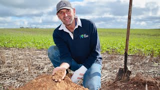 Grower case study | SA | Challenges of ironstone gravel soil