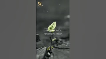 📖 آية من سورة يس | تلاوة مؤثرة تهز القلب 💖 #القرآن_الكريم #yasseraldossary