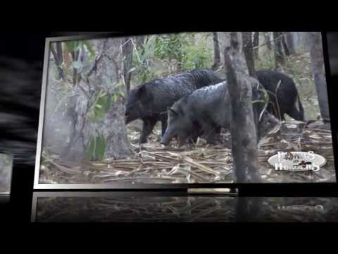 Boars & Hunters TV show teaser