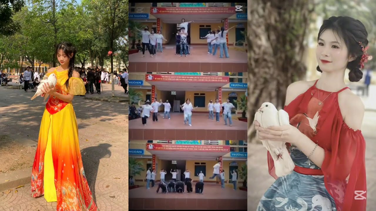 Tổng hợp những video văn nghệ P1