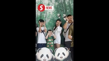 Farewell, Fu Wa and Feng Yi: Fans say goodbye to Zoo Negara