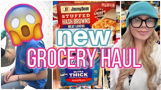 Walmart and Food Lion Grocery Haul + Grocery Shop With Me!