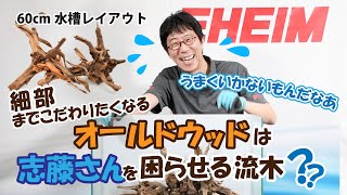 Driftwood Layout] Take your aquatic plant layout to the next level