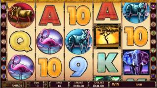 Safari Heat big FREE GAME