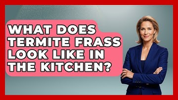 What Does Termite Frass Look Like In The Kitchen? - Insects and Invaders