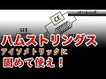 ハムストリングスはエキセントリックではなくアイソメトリックに使っている！！