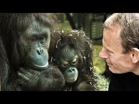 Darwin's Dangerous Idea