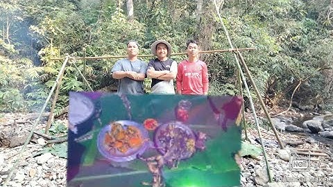 #Trải nghiệm 2 ngày 1 đêm, săn bắt ban đêm kiếm mồi ăn tết l Sống với Rừng.